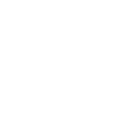 github link